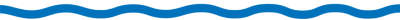 MAINe Küche Logo Wellen